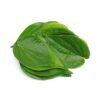 Betel Leaf Paan Patta