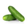 Cucumber