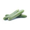 Galka Sponge Gourd