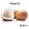 Nariyal Gat