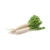 White Radish