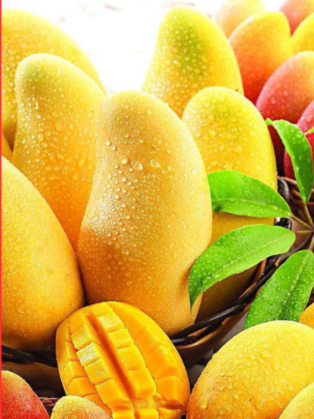 how many mango varieties in india you will be surprised to see